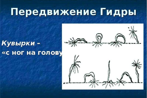 Kraken ем